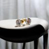 24K Gold Plated AD Stone Ear Tops